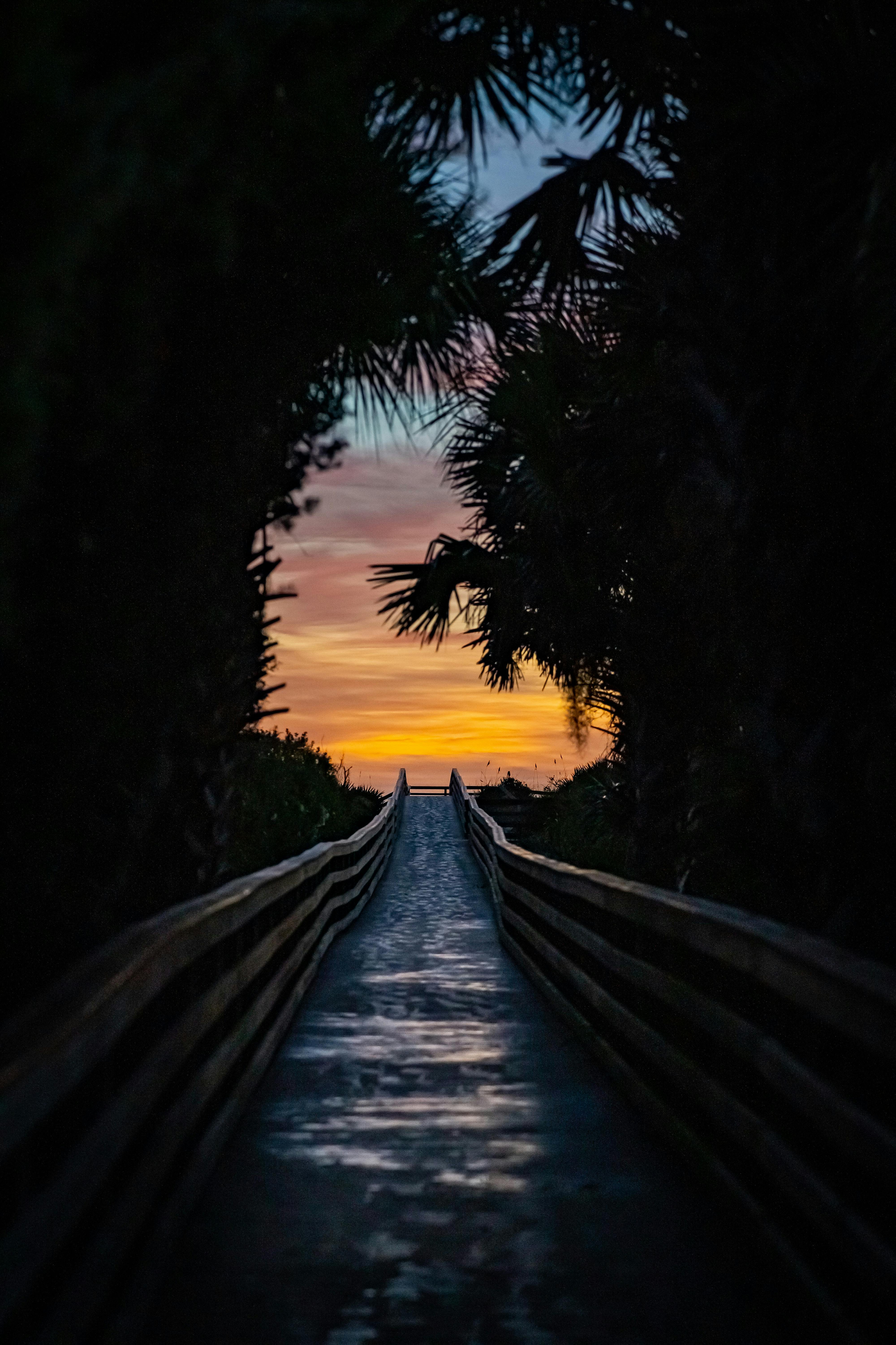 bioluminescence boat tours cocoa beach