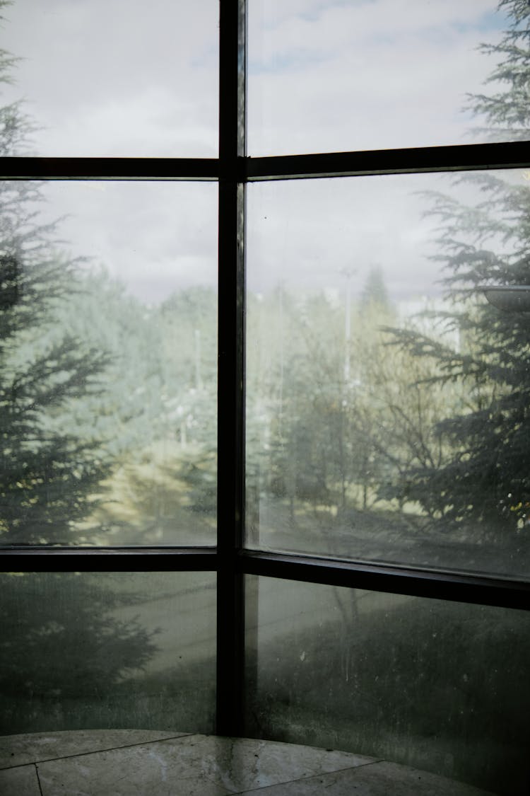 Sunny Forest Seen Through Window