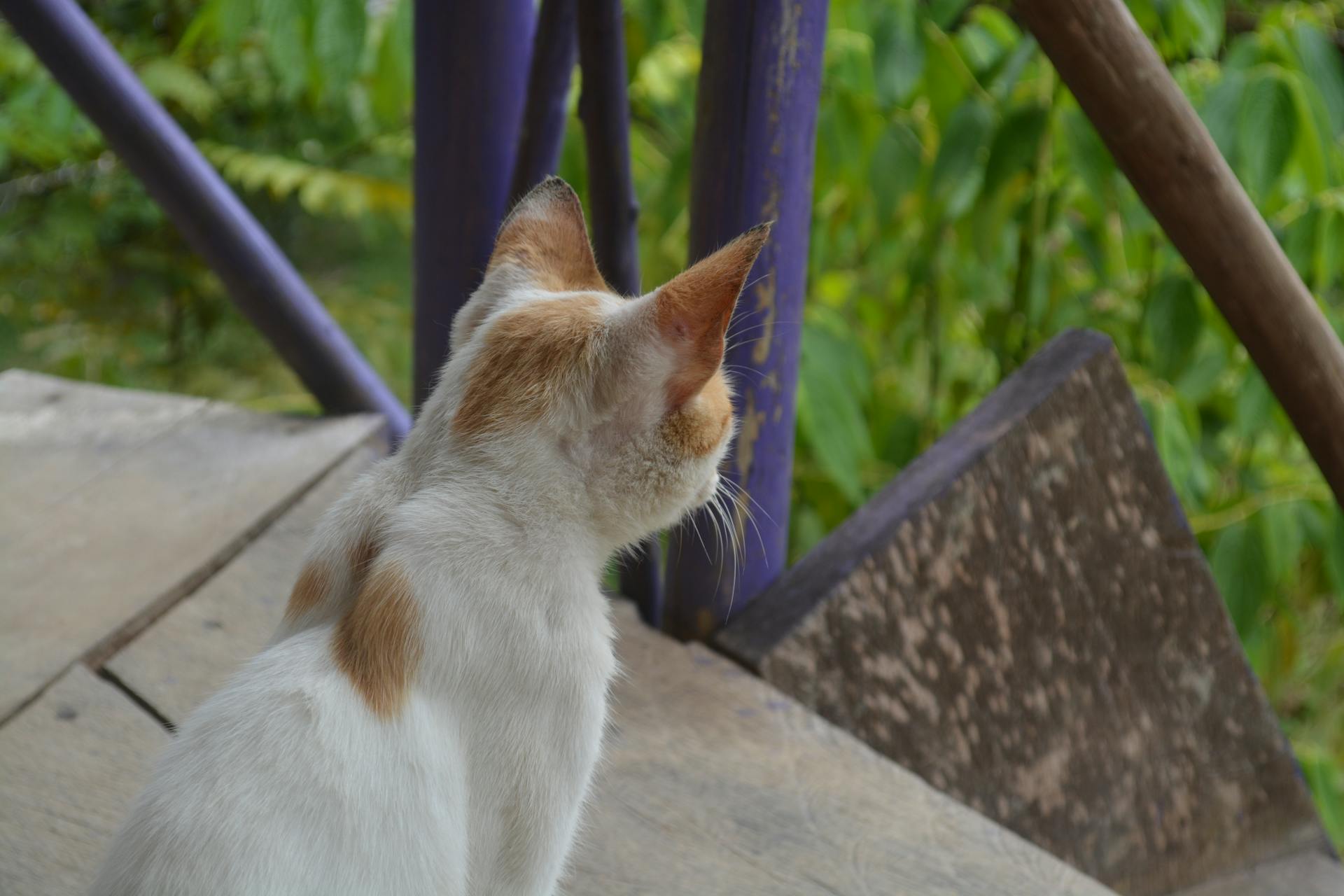 Sunrise sky with warm light — hope and a new day