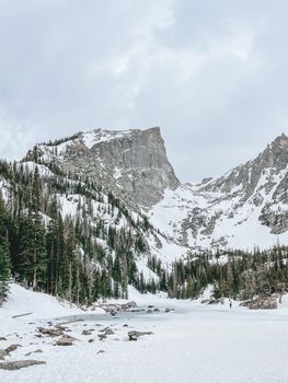 Snow-covered peaks and pine trees in Rocky Mountain National Park, Estes Park, Colorado.