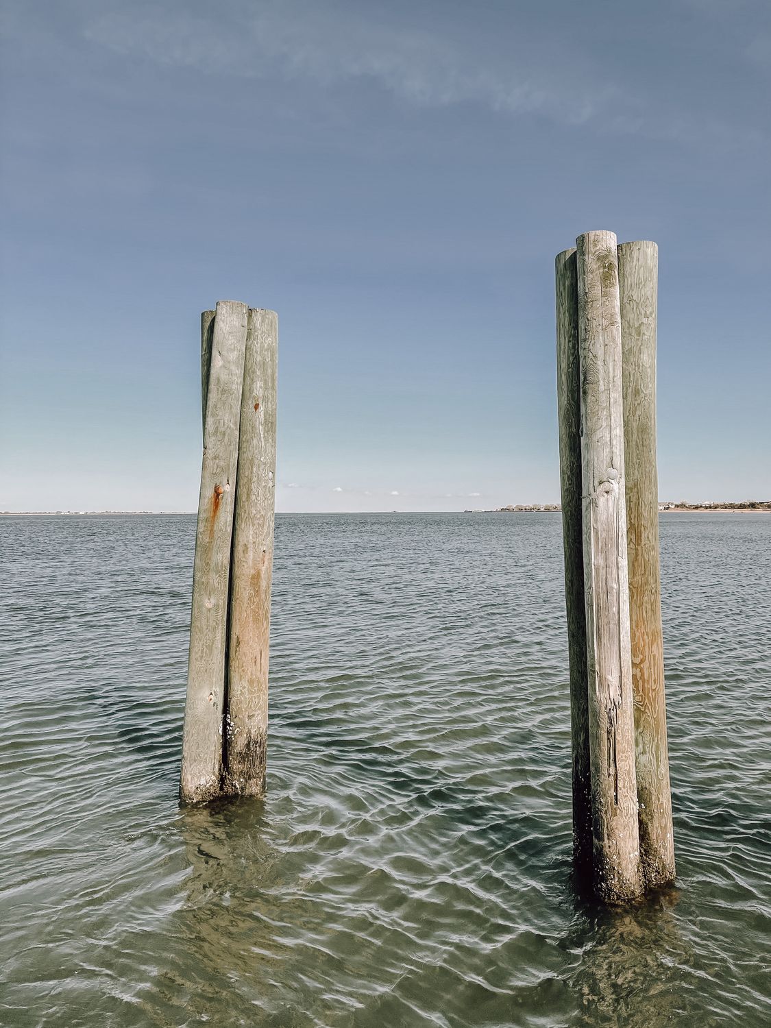 Timber Pilings on Ocean Shore · Free Stock Photo
