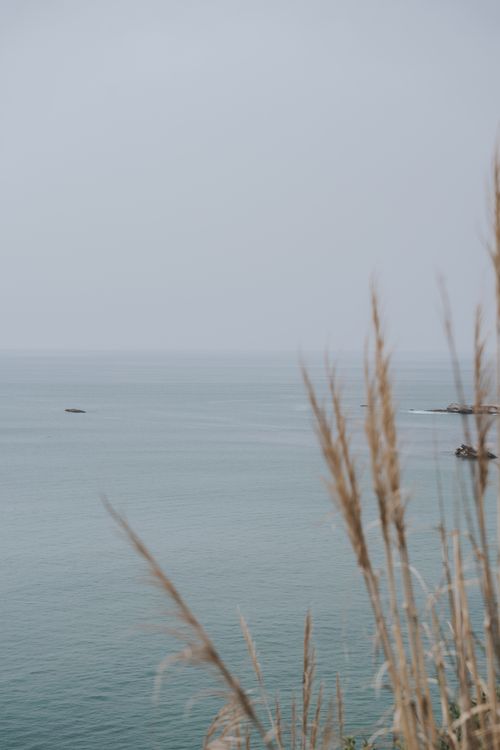 Free Serene seascape with tall grasses in Biarritz, France, on a foggy day. Stock Photo