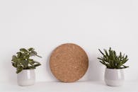以软木塞板为背景，两盆多肉植物放在白色架子上，营造出极简主义的环境