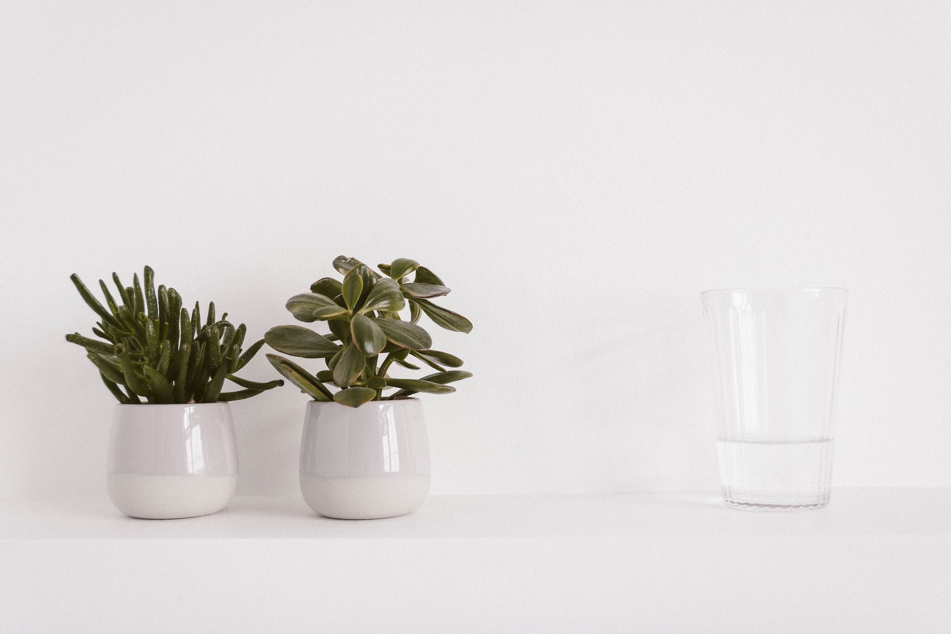 The Beginner's Guide to Minimalist lifestyle guide