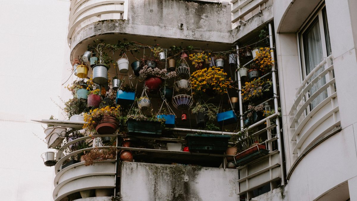 Créer un potager vertical pour petits espaces