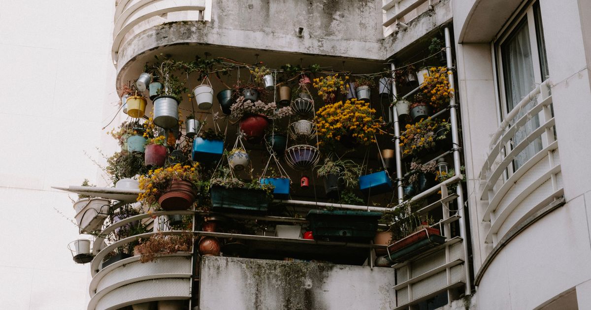 Start balcony garden beginners guide — helpful reference illustration