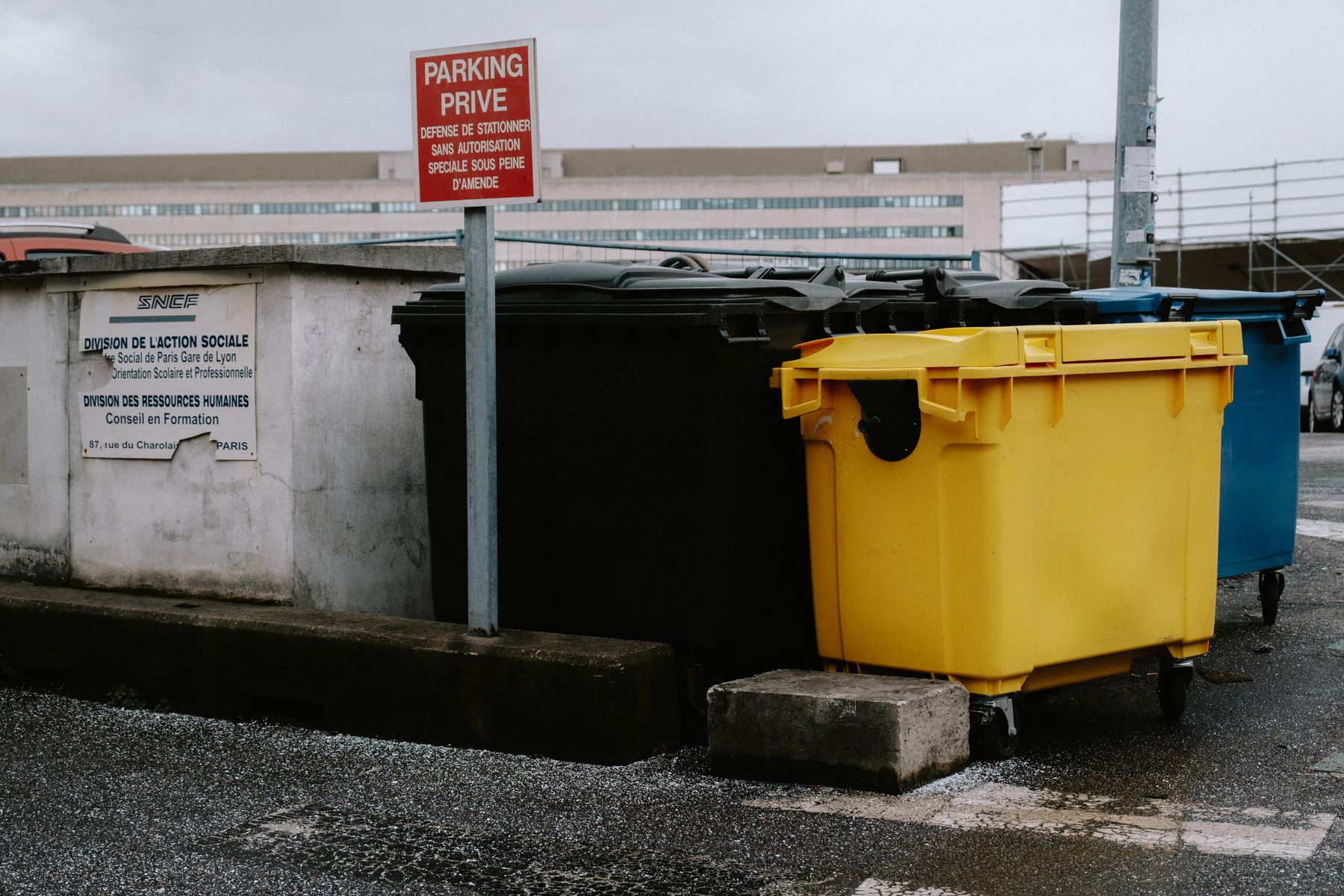 Organized waste and recycling containers in an outdoor setting