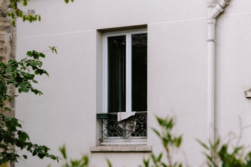 Fotobanka s bezplatnými fotkami na tému budova, oblečenie, okenný gril