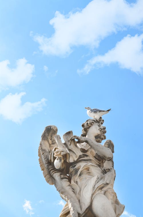 Immagine gratuita di cielo, gabbiani, monumento