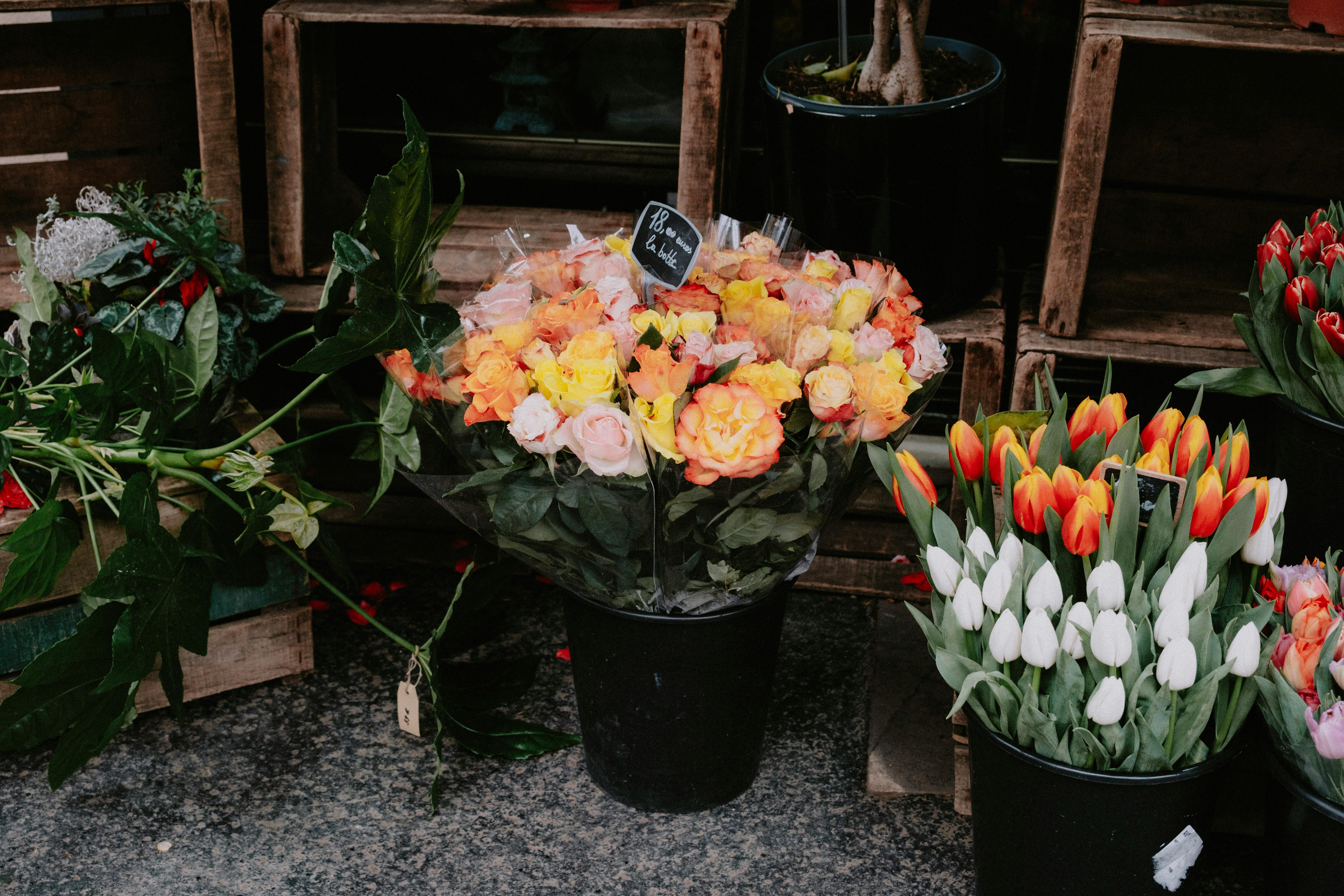Flowers in Black Buckets · Free Stock Photo
