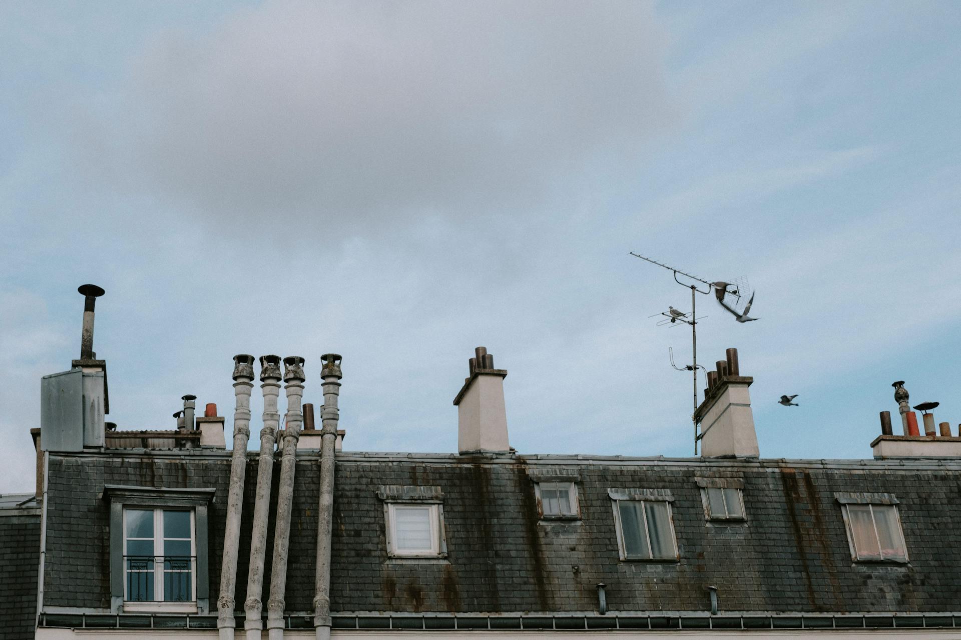 Roof of Residential Building