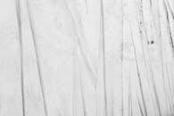 White Concrete Wall in Close Up Photography