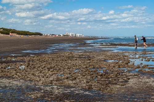 คลังภาพถ่ายฟรี ของ ชายหาด, หาดทราย, เมฆ