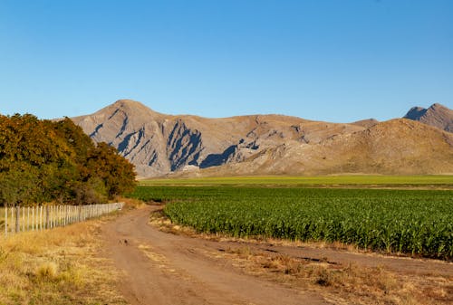 Foto stok gratis jalan pedesaan, pegunungan