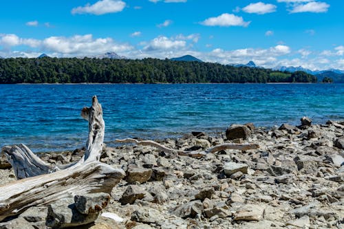 Gratis lagerfoto af sten, strand