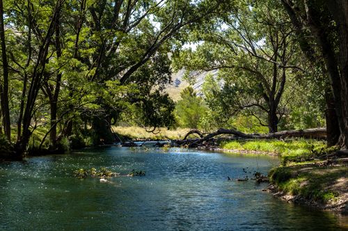 Free A serene river surrounded by lush green trees creates a peaceful natural landscape. Stock Photo