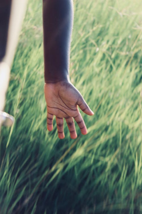 Kostnadsfri bild av barnets hand, gräsfält
