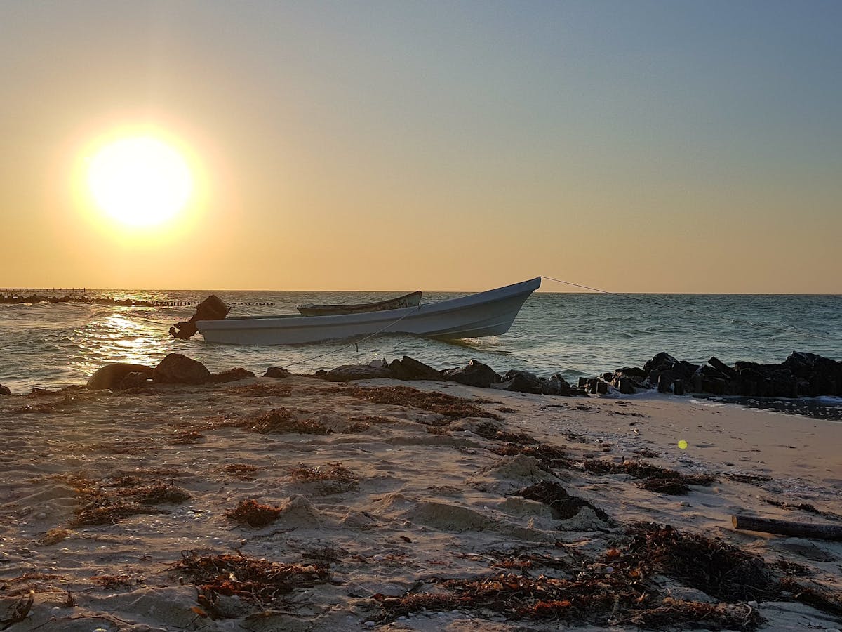 Tesla 停產 Model S 和 Model X:2026 年電動車市場的戰略轉折與未來影響 Tesla 停產 Model S 和 Model X:2026 年電動車市場的戰略轉折與未來影響