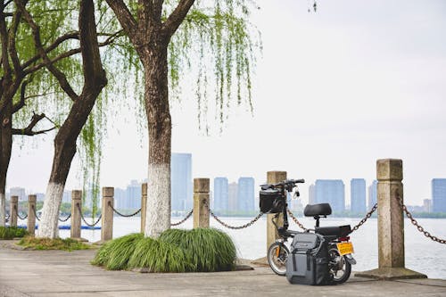 Δωρεάν στοκ φωτογραφιών με αστικό τοπίο, ηλεκτρικό ποδήλατο, κορμοί δέντρων