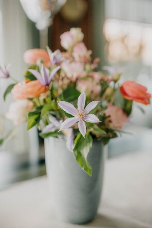 bitkiler, Çiçekler, masa içeren Ücretsiz stok fotoğraf