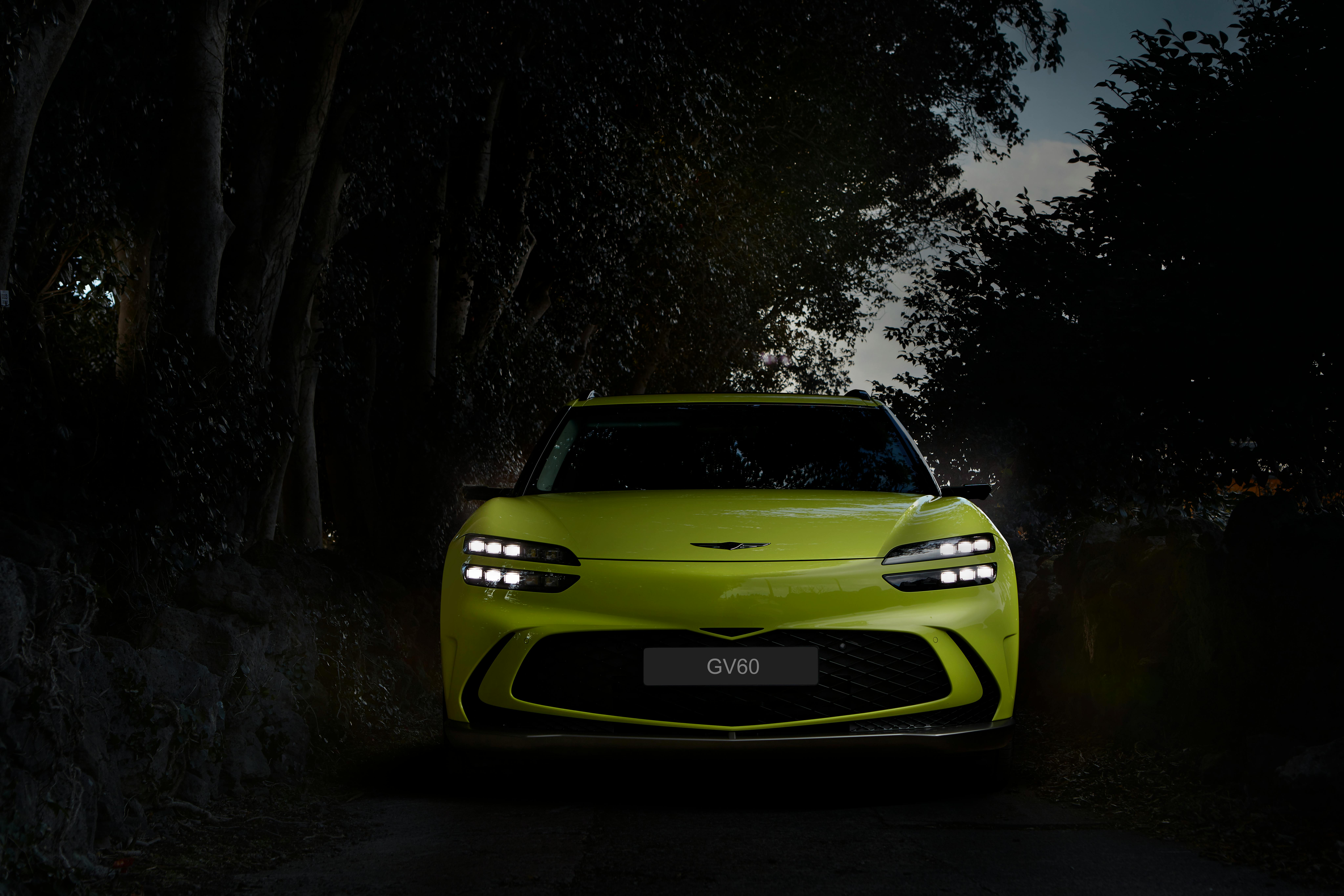 evs explained electric vehicles — Photo by Hyundai Motor Group on Pexels