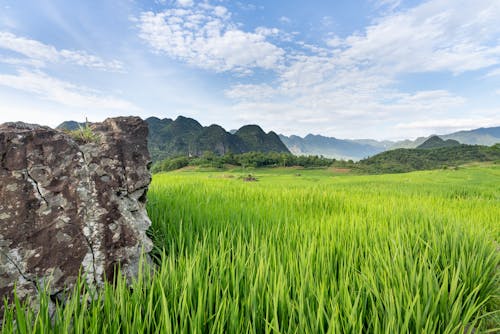 Green Grass Field Near Gray Rock Formation Under White Clouds and Blue Sky