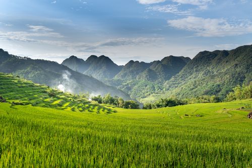 Free Lush green rice terraces and majestic mountains under a blue sky, showcasing rural beauty. Stock Photo