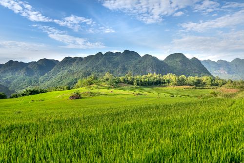 Free Beautiful landscape of green rice fields and mountains under a blue sky. Stock Photo