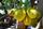 jackfruit