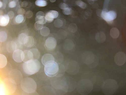 Free stock photo of blur background Stock Photo