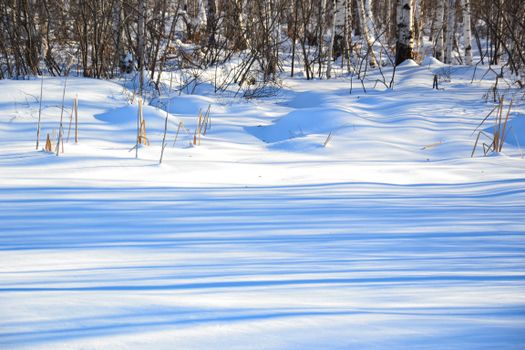 A tranquil winter forest scene with sunlight casting shadows on the snow.