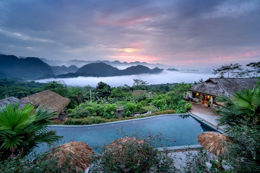 Photo by Quang Nguyen Vinh
