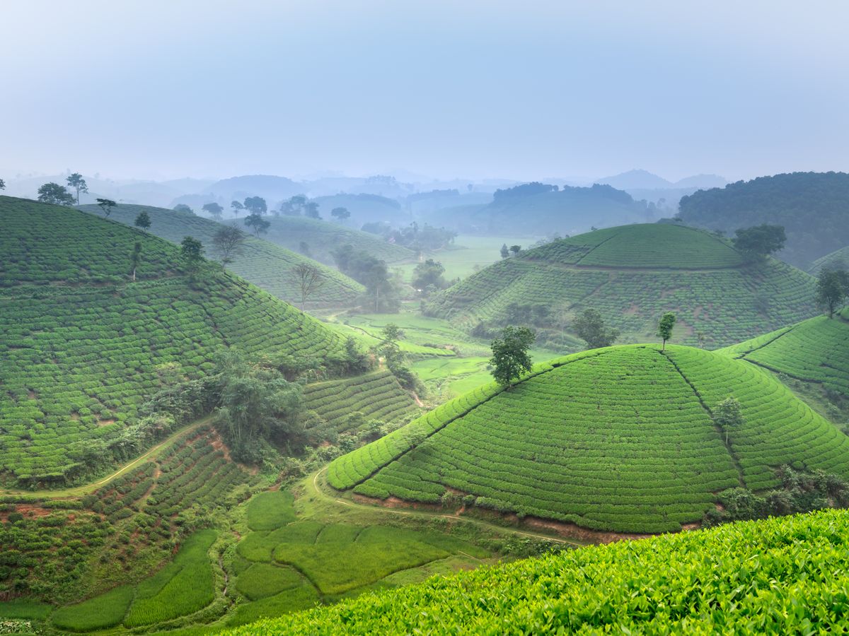 2 Day Midlife Marriage Makeover Sanctuary in Vietnam 2