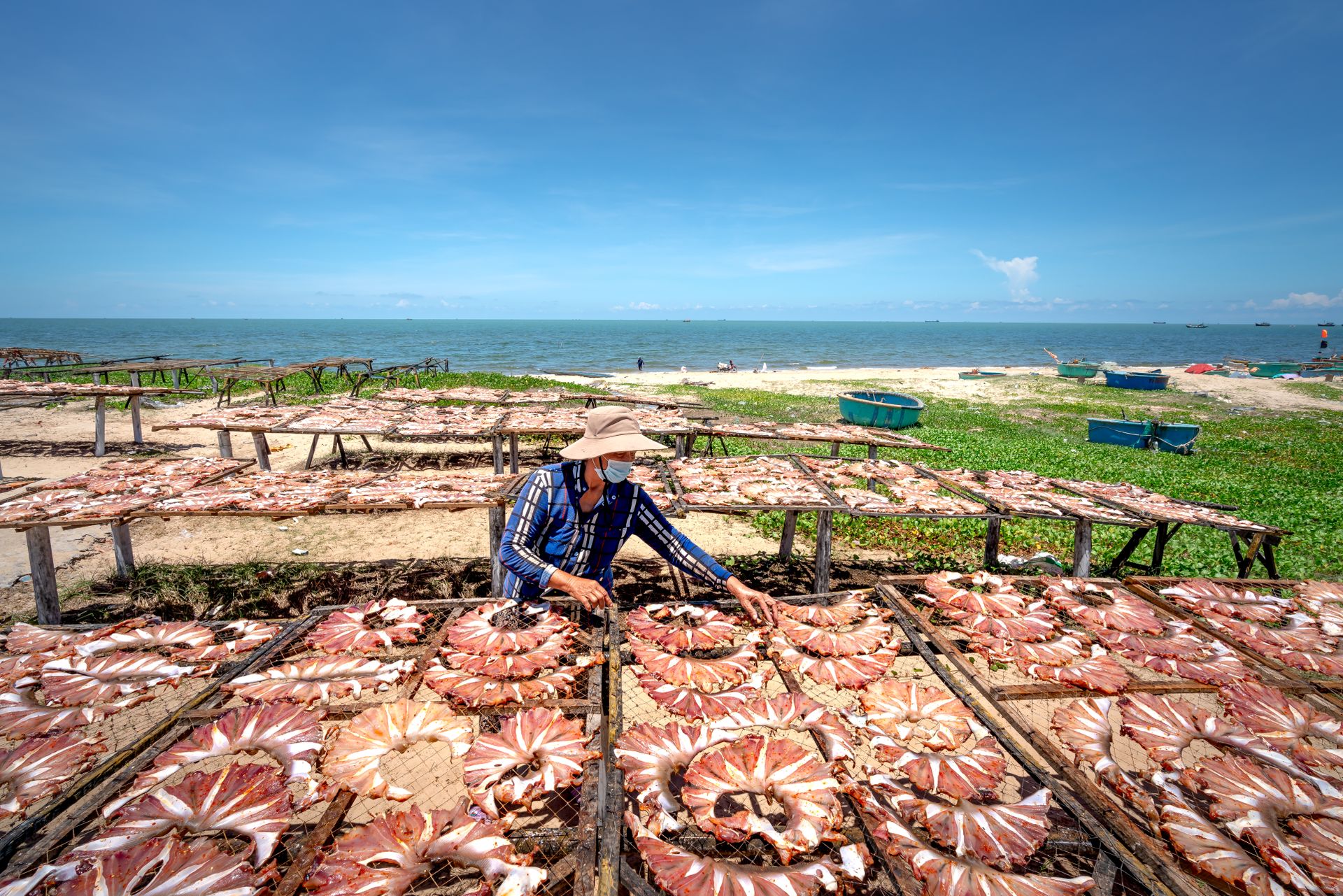 Man Drying Fish on Wire Mesh