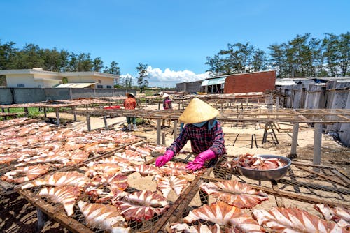 Foto stok gratis @ luar, bekerja, daging