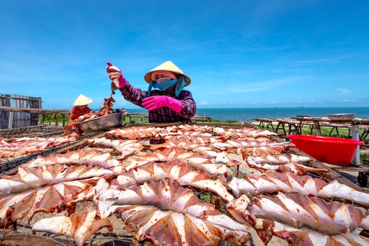 Women drying squid on racks by the sea, showcasing traditional food preservation methods.