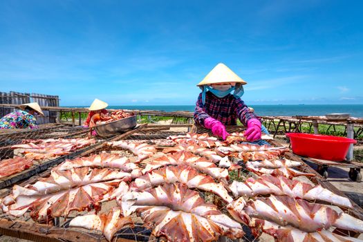 Women drying seafood outdoors under the sun by the sea, wearing traditional hats and masks.