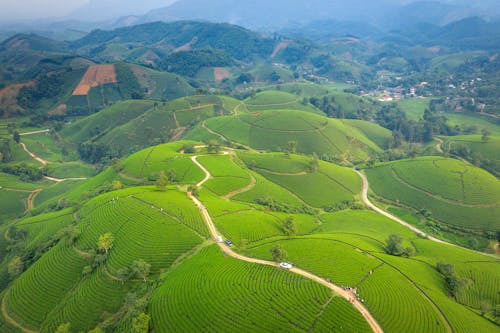 Aerial Photography of an Agricultural Land