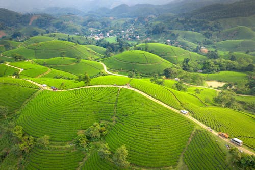 Imagine de stoc gratuită din agricultură, câmpuri, dealuri