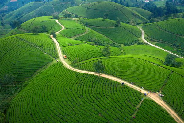 Ooty travel guide