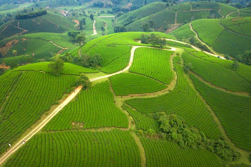 Immagine gratuita di azienda agricola, campagna, fotografia aerea