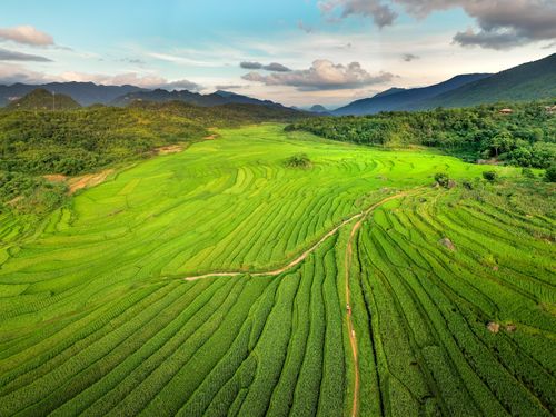 Free Stunning aerial photo showcasing vibrant rice terraces against a backdrop of mountains. Stock Photo