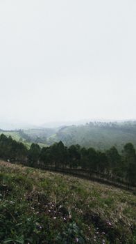 Image by Alfin Auzikri