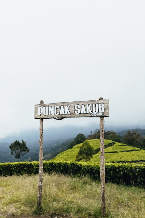 Wooden Signage 