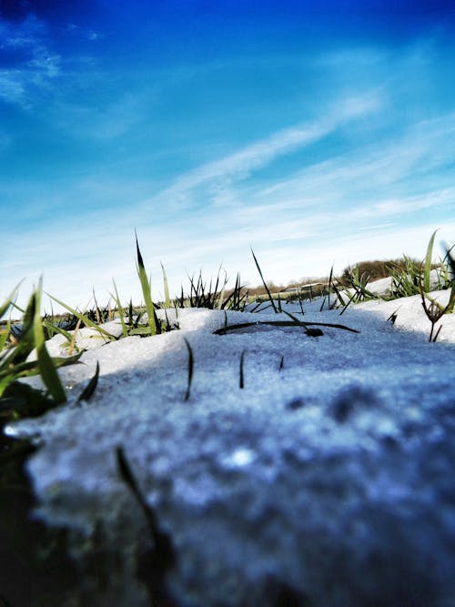 Free stock photo of bluesky, groundlevel, kodak