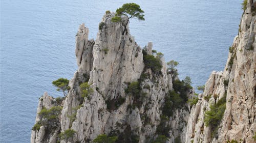 Foto d'estoc gratuïta de bonic, cos d'aigua, Costa