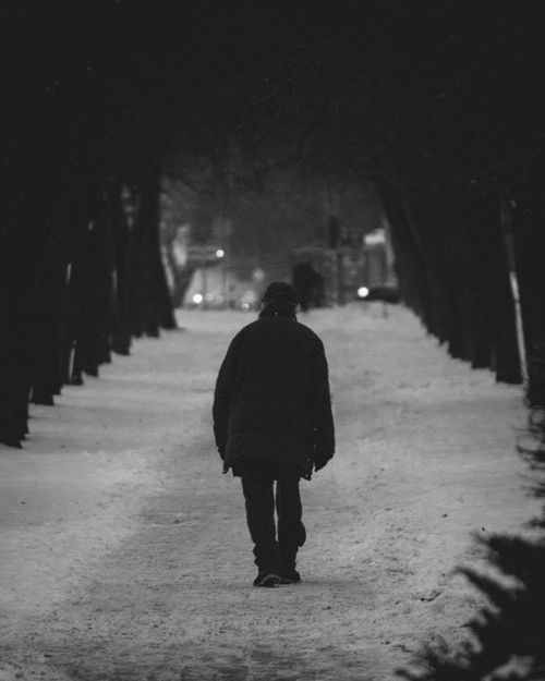 Free A person in winter clothing walks alone on a snow-covered path under a canopy of bare trees. Stock Photo