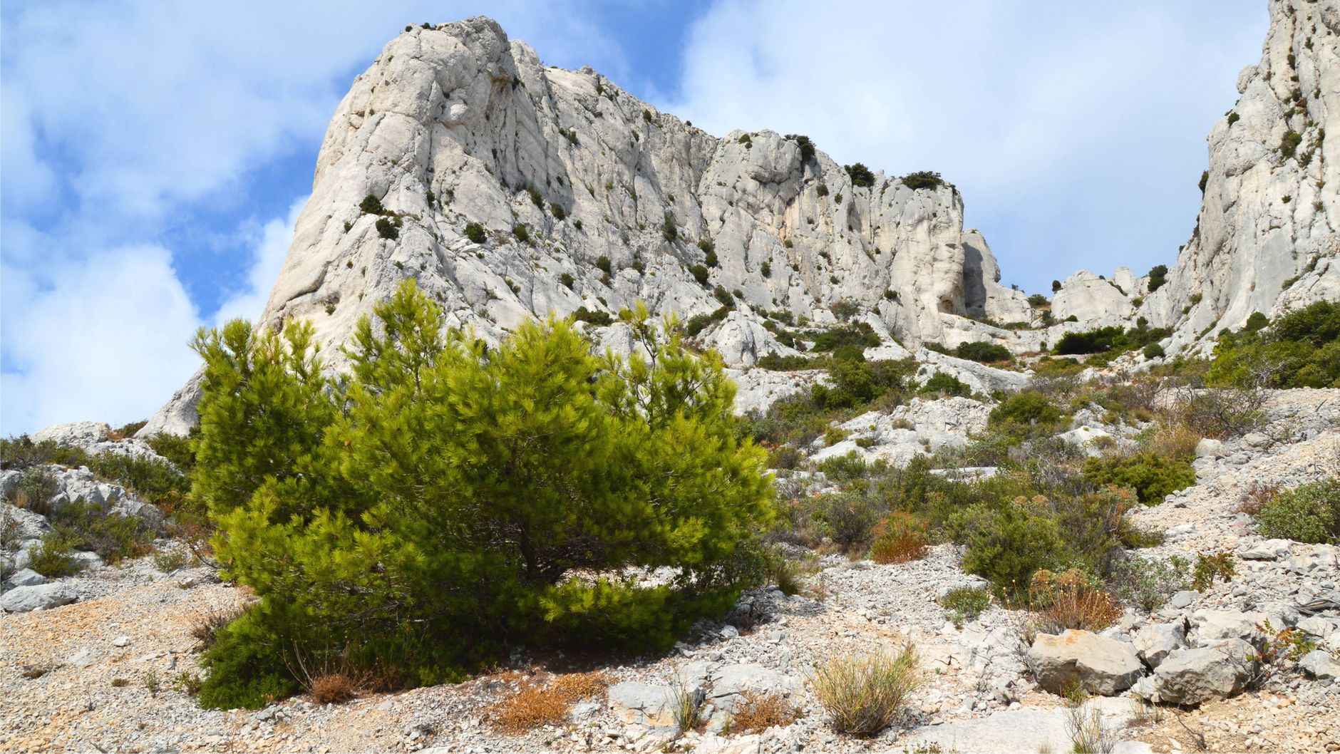 Pic Saint‑Loup, nouveau terrain de jeu des randonneurs européens en 2026 : 3 boucles méconnues pour éviter la foule - illustration