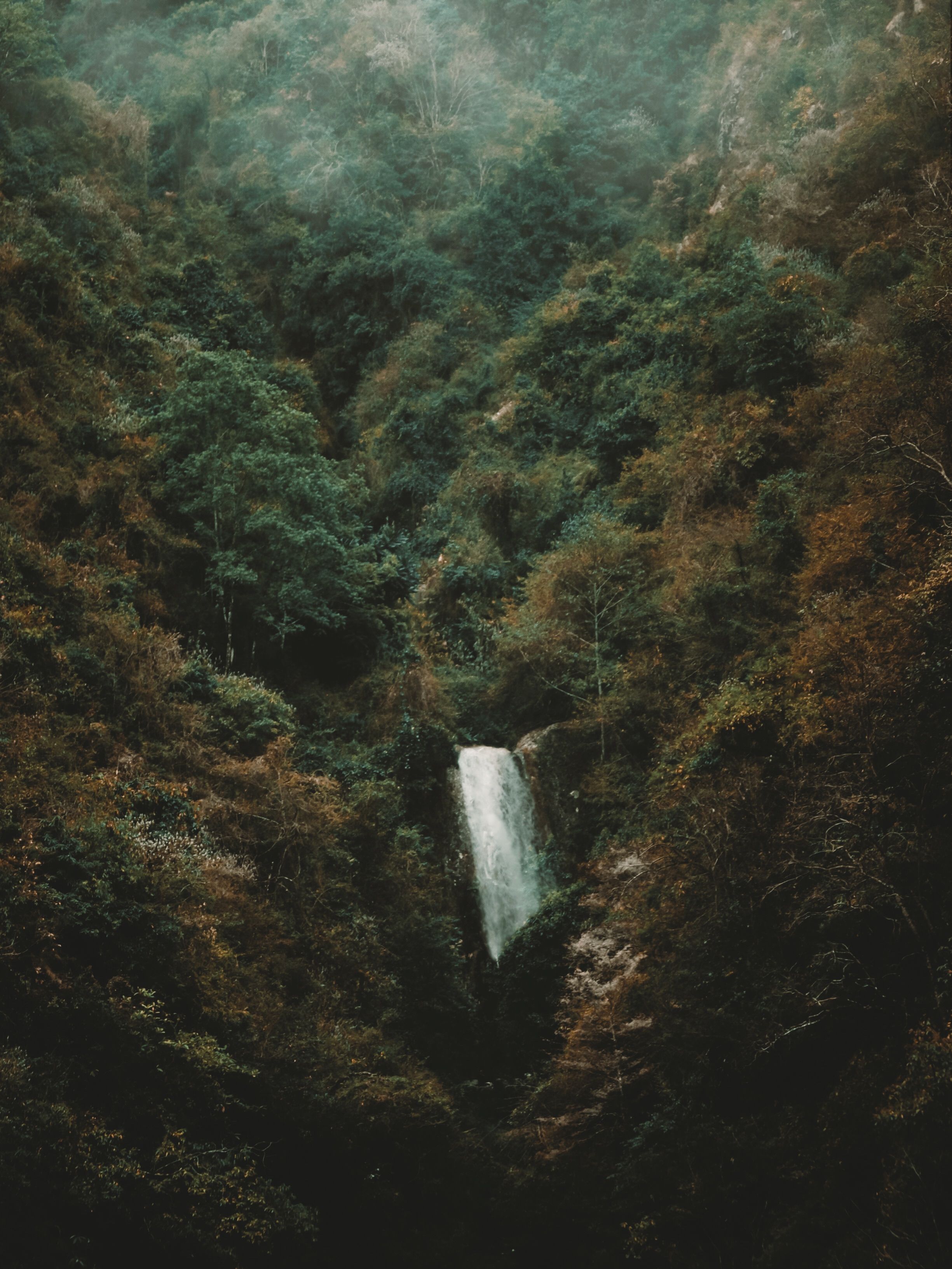 Lush green hills and valleys in Matheran during the monsoon season