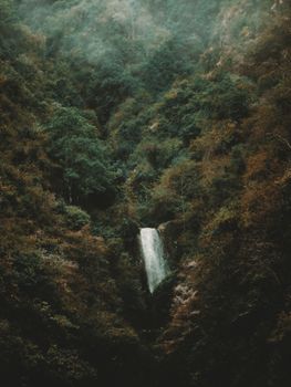 A tranquil waterfall cascading through a dense forest in Nepal, showcasing the beauty of untouched nature.